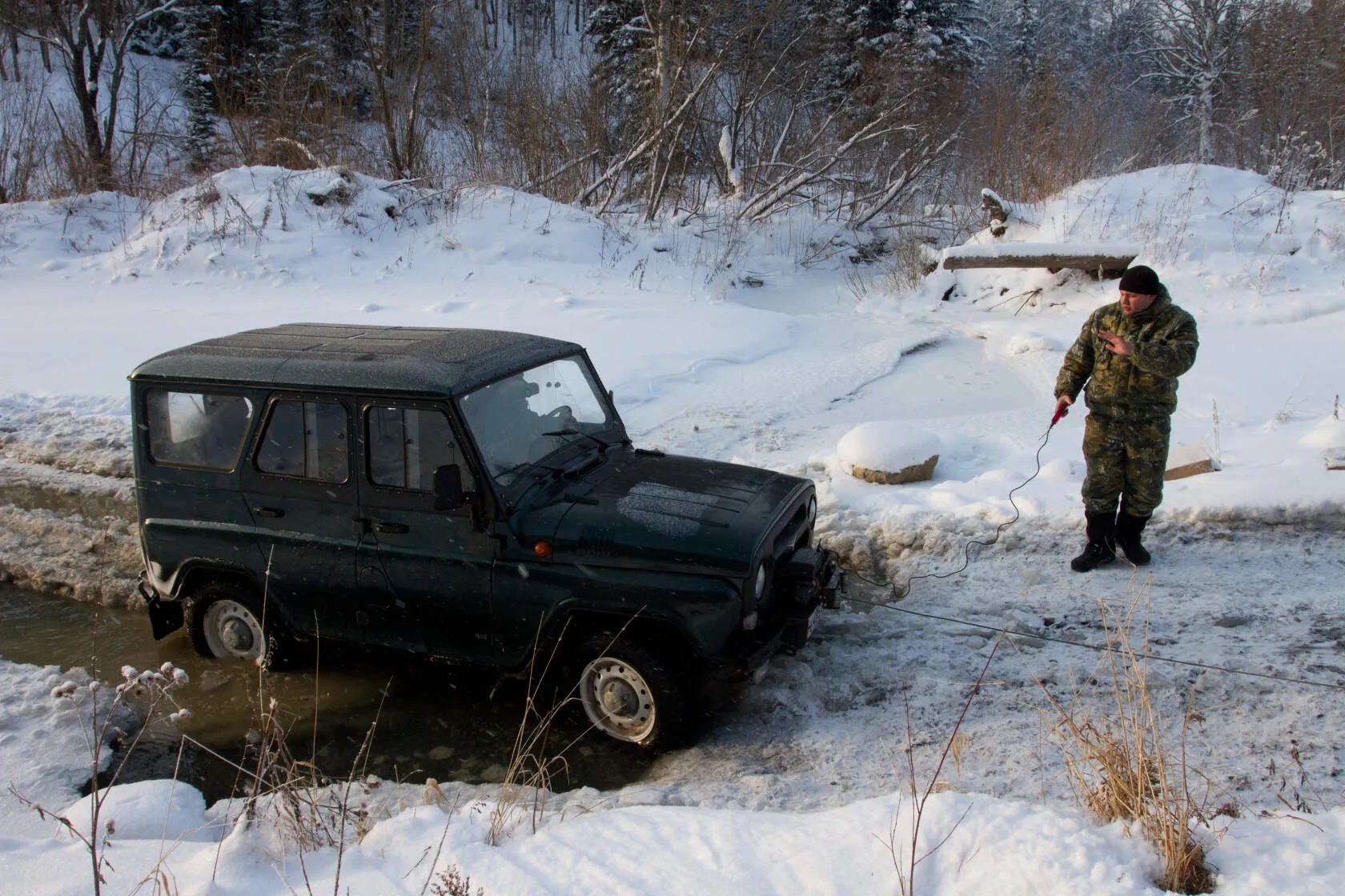 В Кузбассе снизилось количество незаконных рубок