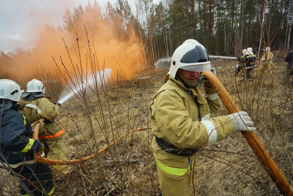 Пожарные в тушении лесных пожаров. Пожар в лесу. Пожарные тушат пожар. Тушение лесных пожаров в Воронежской области. Пожарная служба лесов.
