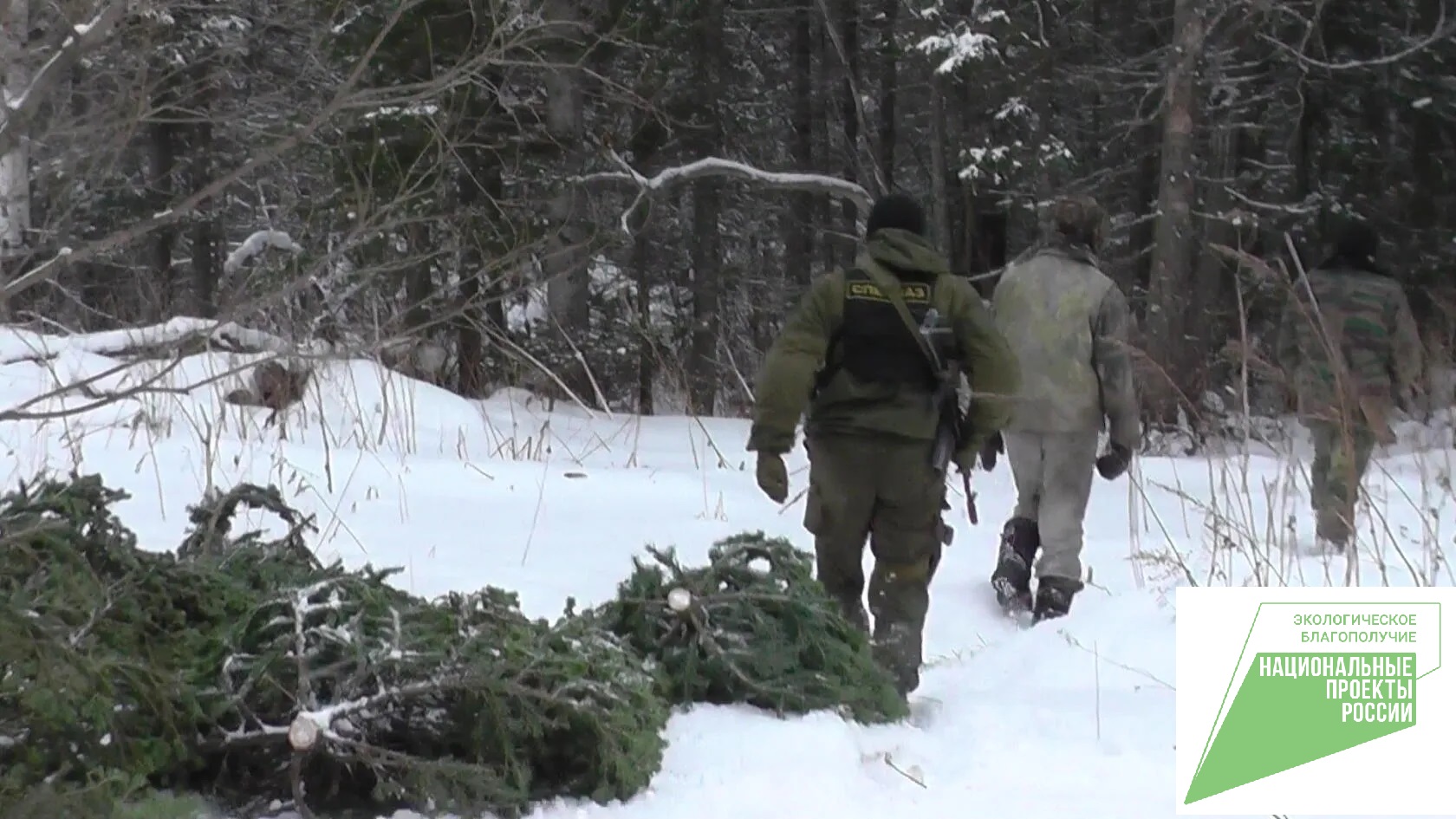 В Кузбассе подвели предварительные итоги операции «Ель» 