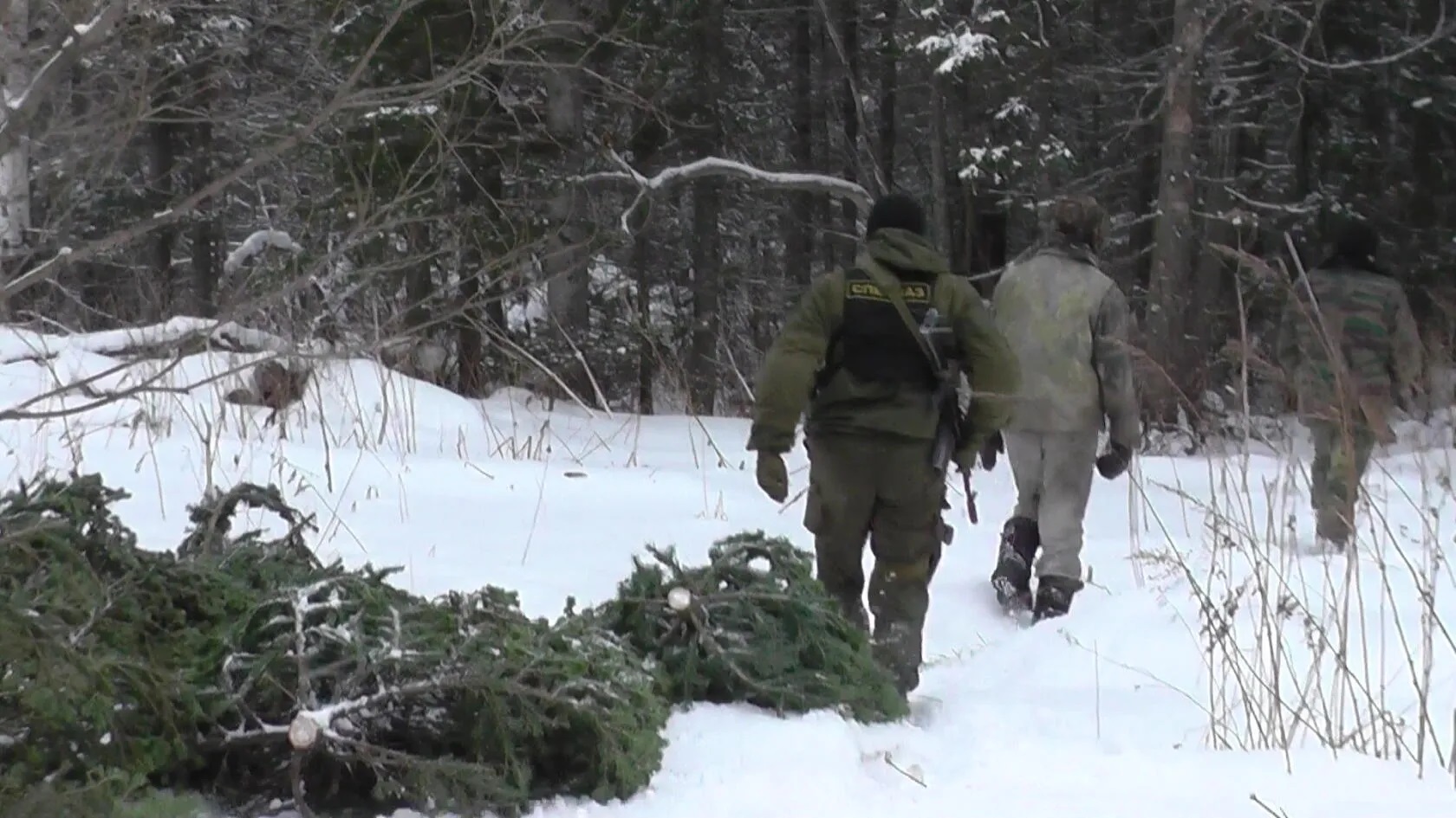 В Кузбассе подвели предварительные итоги операции «Ель» 